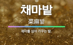 채전밭과수원길 | 🌟채마밭: 채마를 심어 가꾸는 밭. - 표준국어대사전
