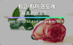 🌟최고 최저 온도계: 일정한 시간 내의 최고 온도와 최저 온도를 재는 온도계. - 표준국어대사전
