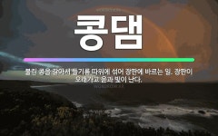 윤과김복원 | 🌟콩댐: 불린 콩을 갈아서 들기름 따위에 섞어 장판에 바르는 일. 장판이 오래가고 윤과 빛이 난다. - 표준국어대사전