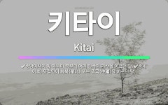 화북비와이시 | 🌟키타이: 중앙아시아 및 아시아 북부의 여러 민족이 거란을 이르던 말., 중세 이후, 유럽인이 화북(華北)... - 표준국어대사전