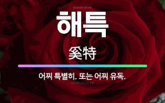 🌟해특: 어찌 특별히. 또는 어찌 유독. - 표준국어대사전