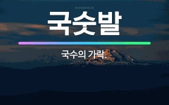 대흥동가락국수점 | 🌟국숫발: 국수의 가락. - 표준국어대사전
