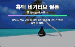 🌟흑백 네거티브 필름: 흑백 사진의 인화를 위한 원판 음화를 만드는 일반 촬영용 필름. - 표준국어대사전