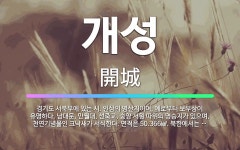 🌟개성: 경기도 서북부에 있는 시. 인삼의 명산지이며, 예로부터 보부상이 유명하다. 남대문, 만월대, 선죽... - 표준국어대사전