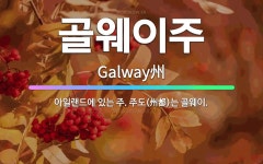 (주아이웨이 | 🌟골웨이주: 아일랜드에 있는 주. 주도(州都)는 골웨이. - 표준국어대사전