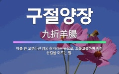 양정구판장 - 거제시 | 🌟구절양장: 아홉 번 꼬부라진 양의 창자라는 뜻으로, 꼬불꼬불하며 험한 산길을 이르는 말. - 표준국어대사전