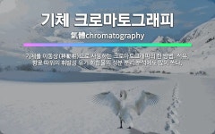 진마토그래피 | 🌟기체 크로마토그래피: 기체를 이동상(移動相)으로 사용하는 크로마토그래피의 한 방법. 석유, 향료 따위의 ... - 표준국어대사전