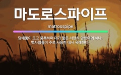 태영담뱃잎가게 | 🌟마도로스파이프: 담배통이 크고 뭉툭하며 대가 짧은 서양식 담뱃대의 하나. 뱃사람들이 주로 사용한 데서 유... - 표준국어대사전