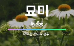 흥에취한범Ⅱ | 🌟묘미: 미묘한 재미나 흥취. - 표준국어대사전