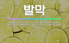 발막집아마도 | 🌟발막: 예전에, 흔히 잘사는 집의 노인이 신었던 마른신. 뒤축과 코에 꿰맨 솔기가 없으며, 코끝을 넓적하... - 표준국어대사전