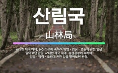 🌟산림국: 대한 제국 때에, 농상아문에 속하여 임업ㆍ임정ㆍ조림에 관한 일을 맡아보던 관청., 대한 제국 때... - 표준국어대사전