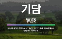 🌟기담: 칠정(七情)이 울결하여 생기는 담. 가래가 목에 걸려서 가슴이 답답하고 거북하다. - 표준국어대사전