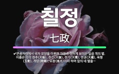 🌟칠정: 이십팔수 가운데 동ㆍ서ㆍ남ㆍ북에 각각 있는 일곱 개의 별자리., 태양, 달, 화성, 수성, 목성,... - 표준국어대사전