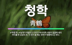 다리가셋날개가셋3.3치킨 | 🌟청학: 푸른 학., 날개가 여덟이고 다리가 하나이며 사람의 얼굴에 새의 부리를 한 상상의 새. 이 새가 ... - 표준국어대사전