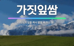 쌈싸먹는국민짜글이앤두가지떡볶이 | 🌟가짓잎쌈: 가지의 잎을 쪄서 밥을 싸 먹는 쌈. - 표준국어대사전