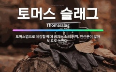 🌟토머스 슬래그: 토머스법으로 제강할 때에 생기는 쇠의 찌끼. 인산분이 많아 비료로 쓰인다. - 표준국어대사전
