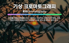 진마토그래피 | 🌟기상 크로마토그래피: 기체를 이동상(移動相)으로 사용하는 크로마토그래피의 한 방법. 석유, 향료 따위의 ... - 표준국어대사전