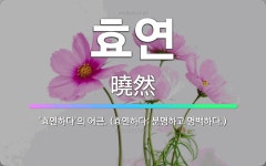 인셀덤역곡효연대리점 | 🌟효연: ‘효연하다’의 어근. (효연하다: 분명하고 명백하다.) - 표준국어대사전