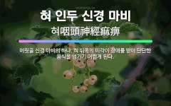 대한두피탈모커버협회부미인두미각 | 🌟혀 인두 신경 마비: 머릿골 신경 마비의 하나. 혀 뒤쪽의 미각이 장애를 받아 단단한 음식을 넘기기 어렵... - 표준국어대사전