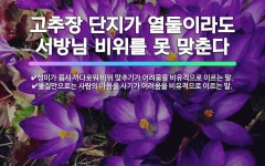 🌟다 늙어 된서방을 만난다: 늙어 갈수록 신세가 더 고되어 감을 비유적으로 이르는 말. - 표준국어대사전