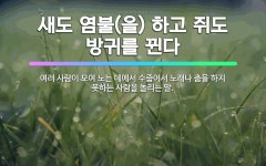 🌟새도 염불(을) 하고 쥐도 방귀를 뀐다: 여러 사람이 모여 노는 데에서 수줍어서 노래나 춤을 하지 못하는... - 표준국어대사전