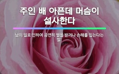 🌟주모 보면 염소 똥 보고 설사한다: 술을 조금도 못한다는 말. - 표준국어대사전