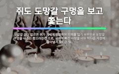🌟쥐도 도망갈 구멍을 보고 쫓는다: 도망갈 곳이 없으면 쥐가 거세게 반항하여 피해를 입기 쉬우므로 도망갈 ... - 표준국어대사전