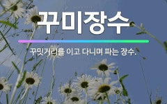 🌟꾸미장수: 꾸밋거리를 이고 다니며 파는 장수. - 표준국어대사전