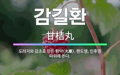 감초당약업사(감초아재몰) | 🌟감길환: 도라지와 감초로 만든 환약(丸藥). 편도염, 인후염 따위에 쓴다. - 표준국어대사전