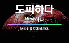 🌟도피하다: 약 따위를 겉에 바르다. - 표준국어대사전