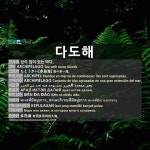 다도해: たとうかい【多島海】