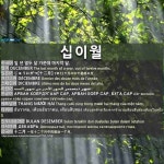 십이월: THÁNG MƯỜI HAI