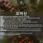 꼬까신제화구두수선 | 꼬까신