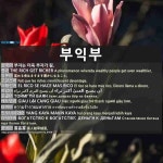 부익부(富益富)