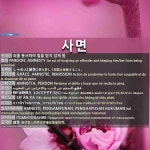 사면: 赦免