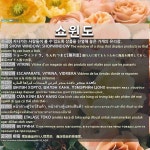 쇼윈도: SHOW WINDOW; SHOPWINDOW