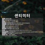 12Cm김밥센티미터 | 센티미터: CENTIMÈTRE