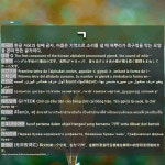 ㄱ: G