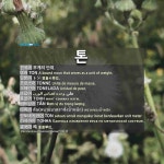 톤: (1)TON (2)TON