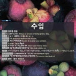 수임샵 코스모스 | 수임(受任)