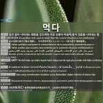 먹다: 먹다: