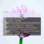 미: MI