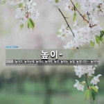 높이-: 높이-: