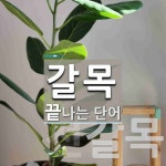 갈목토종건강촌 | "갈목" 끝 단어