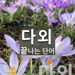 김하형과외 | "다외" 끝 단어
