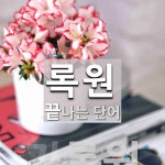 (주)록원건설 - 12864 | 록원으로 끝나는 단어는? 3개