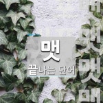 에스엠 미디어콤 | 맷으로 끝나는 단어는? 59개