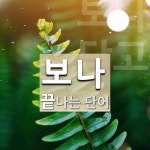 모로보나(MOROBONA) | 보나로 끝나는 단어는? 4개