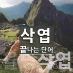 석암산업㈜ - 8468 | 삭엽으로 끝나는 단어는? 2개