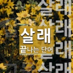 살래로 끝나는 단어는? 4개